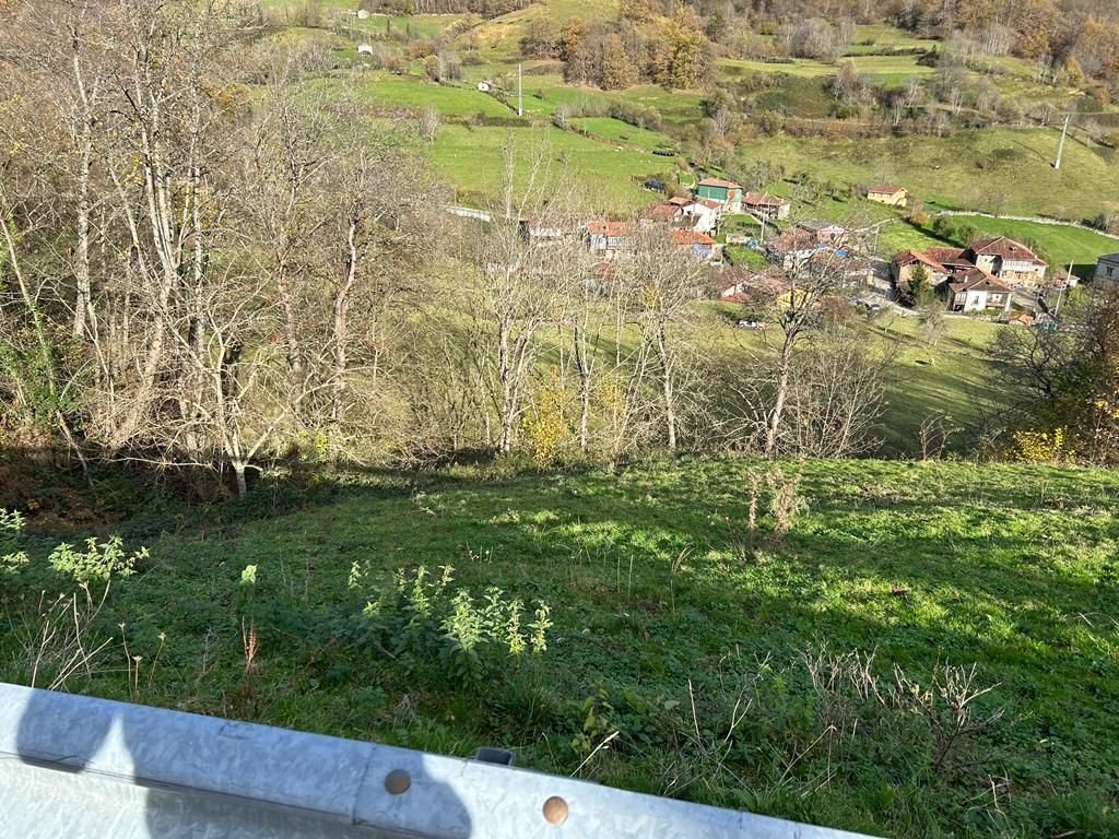 Finca rústica a Ponga, Concejo de Ponga, en venda